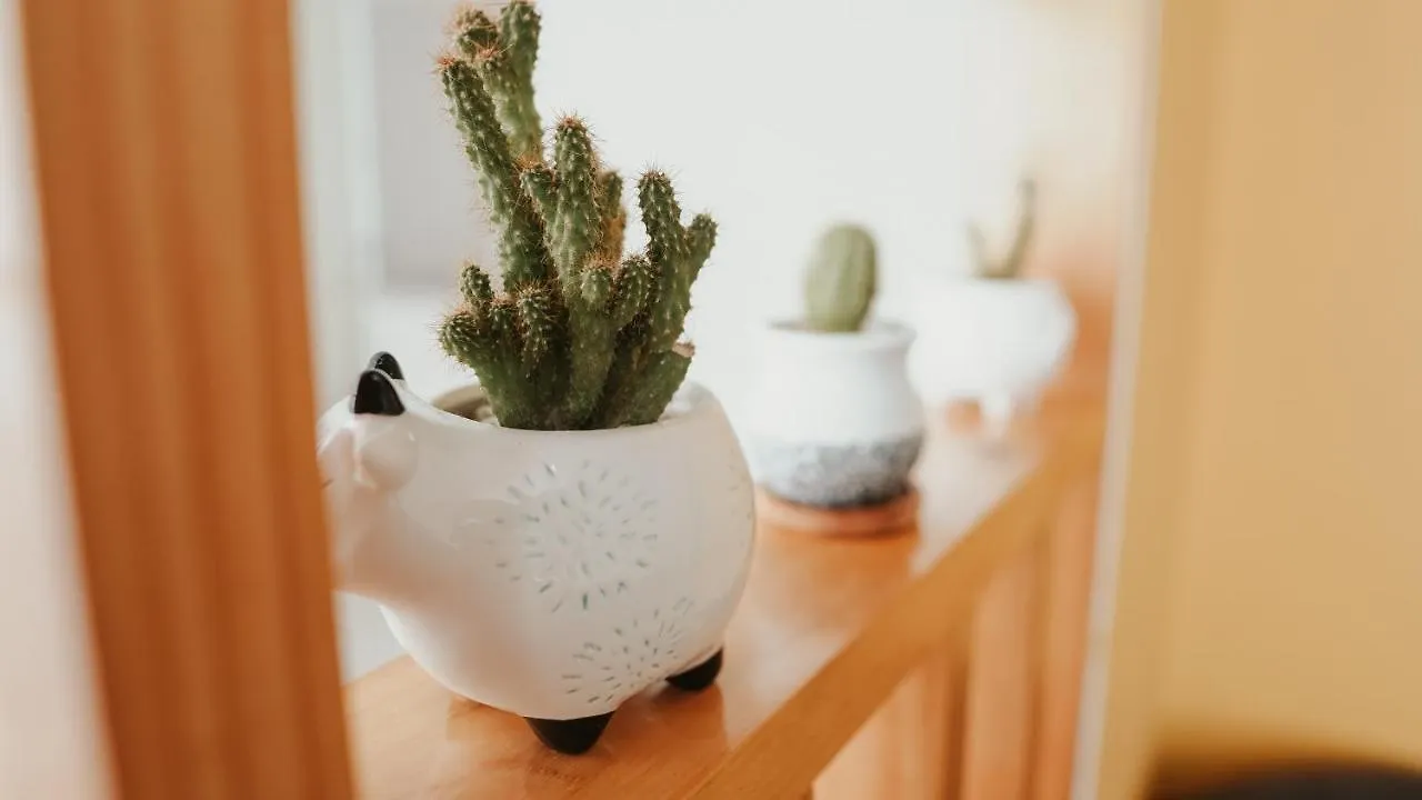 Apartamento en Barranquilla con espacio coworking